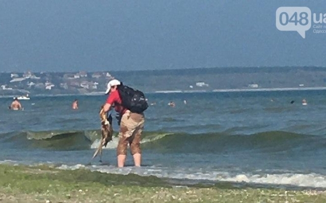 Фотофакт: на пляже в Одессе продавец мыл рыбу прямо в море Фото № 0 Фотофакт: на пляже в Одессе продавец мыл рыбу прямо в море Фото № 0