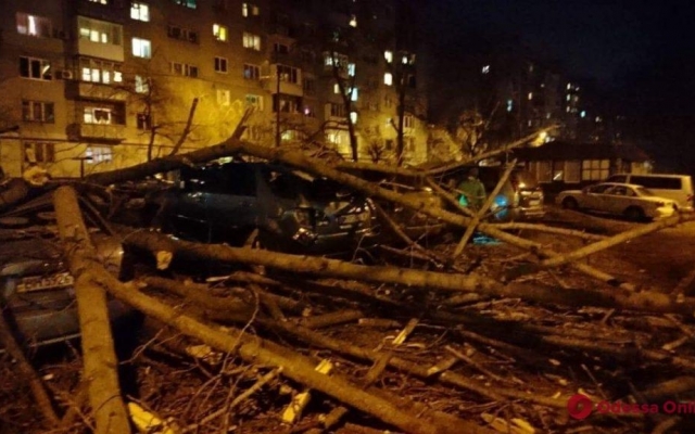Рухнувшее на Таирова дерево повредило припаркованные автомобили Фото № 1 Рухнувшее на Таирова дерево повредило припаркованные автомобили Фото № 1