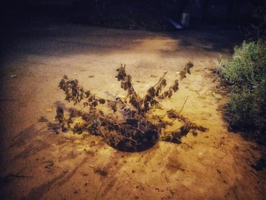 Одесситка упала в люк и сломала ребро Фото № 0 Одесситка упала в люк и сломала ребро Фото № 0