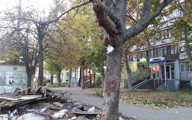Целый квартал на Глушко превратился в огромную мусорную свалку Фото № 3 Целый квартал на Глушко превратился в огромную мусорную свалку Фото № 3