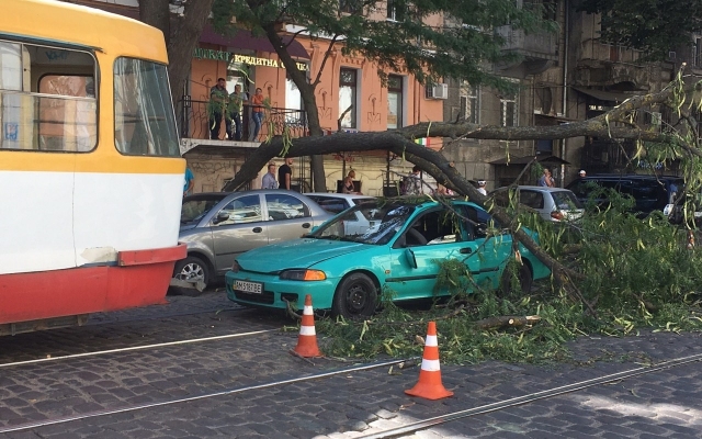 В Одессе упавшее дерево повредило две машины Фото № 0 В Одессе упавшее дерево повредило две машины Фото № 0