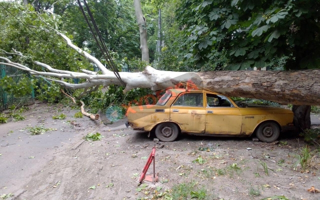 В Одессе дерево разбило автомобиль Фото № 0 В Одессе дерево разбило автомобиль Фото № 0