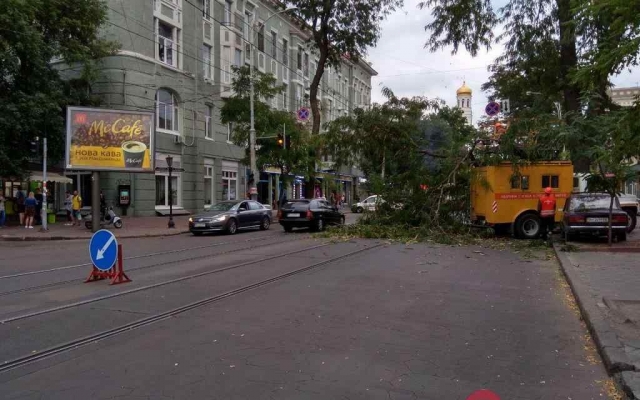 Ветка, упавшая на провода, заблокировала движение трамваев Фото № 0 Ветка, упавшая на провода, заблокировала движение трамваев Фото № 0
