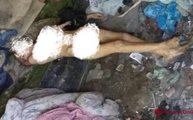 В одном из парков Одессы обнаружили мёртвую женщину (ФОТО 18+) Фото № 0 В одном из парков Одессы обнаружили мёртвую женщину (ФОТО 18+) Фото № 0