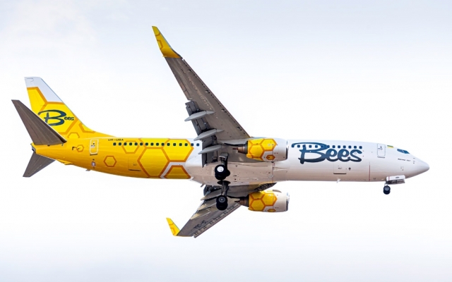 Украинский лоукостер Bees Airlines готовится к полетам в Армению и Грузию Фото № 0 Украинский лоукостер Bees Airlines готовится к полетам в Армению и Грузию Фото № 0