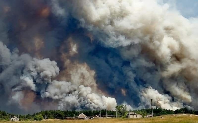 Виновника пожаров в Луганской области нашли Фото № 0 Виновника пожаров в Луганской области нашли Фото № 0