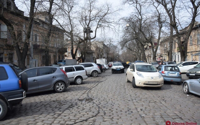 Возле Нового рынка упало дерево Фото № 2 Возле Нового рынка упало дерево Фото № 2