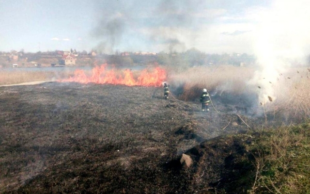Пожарные с утра не могут потушить пожар в Нижнеднестровском национальном парке Фото № 2 Пожарные с утра не могут потушить пожар в Нижнеднестровском национальном парке Фото № 2