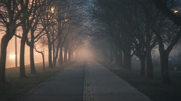 Еще охранник, а уже задержал насильника Фото № 0 Еще охранник, а уже задержал насильника Фото № 0