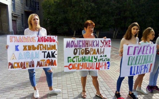 Использовать диких животных в выступлениях Одесскому цирку теперь запрещено судом Фото № 3 Использовать диких животных в выступлениях Одесскому цирку теперь запрещено судом Фото № 3
