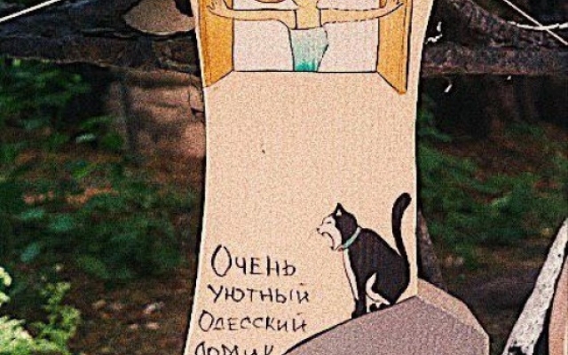 Уникальные дворики и парадные центра Одессы, о которых мало кто знает Фото № 8 Уникальные дворики и парадные центра Одессы, о которых мало кто знает Фото № 8