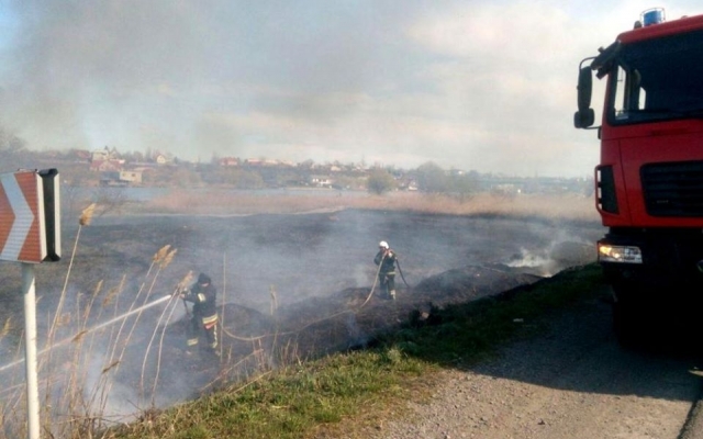 Пожарные с утра не могут потушить пожар в Нижнеднестровском национальном парке Фото № 0 Пожарные с утра не могут потушить пожар в Нижнеднестровском национальном парке Фото № 0