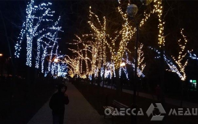 В Одессе на одном из бульваров подсветят деревья Фото № 0 В Одессе на одном из бульваров подсветят деревья Фото № 0