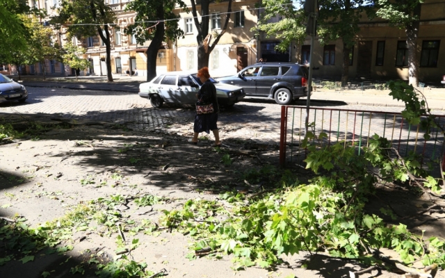 Упавшая ветка перегородила дорогу Фото № 3 Упавшая ветка перегородила дорогу Фото № 3