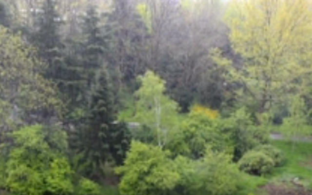 В Одессе произошла первая весенняя гроза (ВИДЕО) Фото № 0 В Одессе произошла первая весенняя гроза (ВИДЕО) Фото № 0