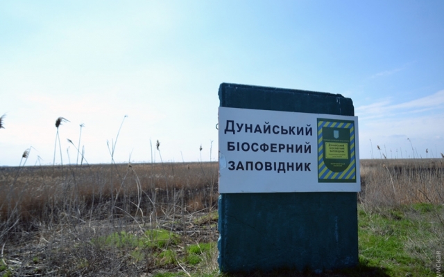 Почему горят плавни в Одесской области? Фото № 0 Почему горят плавни в Одесской области? Фото № 0