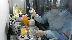 Ученых создавших тест для диагностики коронавируса, отправляют в отпуска «за свой счет» Фото № 0 Ученых создавших тест для диагностики коронавируса, отправляют в отпуска «за свой счет» Фото № 0
