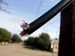 В Приморском районе своровали высоковольтный кабель Фото № 0 В Приморском районе своровали высоковольтный кабель Фото № 0