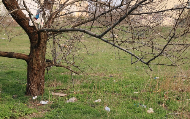 Суворовский район Одессы утопает в мусоре (фотофакт) Фото № 5 Суворовский район Одессы утопает в мусоре (фотофакт) Фото № 5