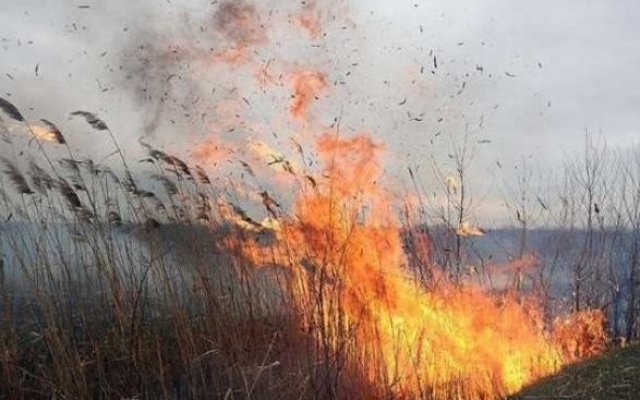 В Одесской области умерла женщина от обширных ожогов - спасала свои вещи Фото № 0 В Одесской области умерла женщина от обширных ожогов - спасала свои вещи Фото № 0