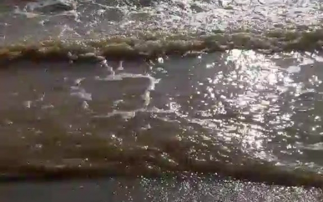 В Одессе снова загрязняют море Фото № 0 В Одессе снова загрязняют море Фото № 0
