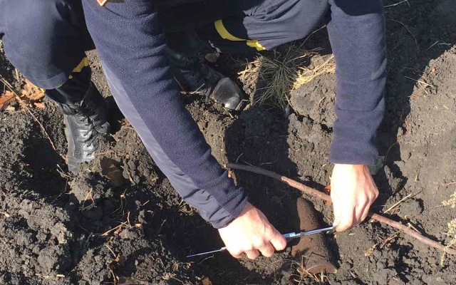 Взрывная неделя: боеприпасы под ногами и патроны с огорода Фото № 0 Взрывная неделя: боеприпасы под ногами и патроны с огорода Фото № 0