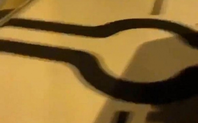 Тщеславие подвело: девушка украла дорожный знак и выложила видео в соцсети Фото № 1 Тщеславие подвело: девушка украла дорожный знак и выложила видео в соцсети Фото № 1