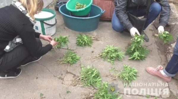 Противодействие наркопреступности: в Измаиле прошла профилактическая отработка города Фото № 1 Противодействие наркопреступности: в Измаиле прошла профилактическая отработка города Фото № 1
