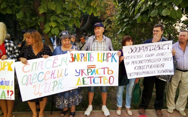 Использовать диких животных в выступлениях Одесскому цирку теперь запрещено судом Фото № 2 Использовать диких животных в выступлениях Одесскому цирку теперь запрещено судом Фото № 2