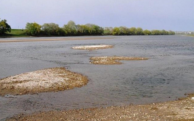 Реки в Украине переживают катастрофическую нехватку воды Фото № 0 Реки в Украине переживают катастрофическую нехватку воды Фото № 0