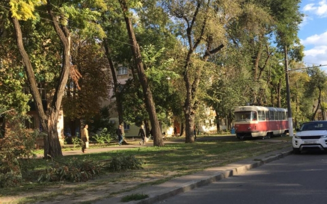 Огромная ветка упала на припаркованный автомобиль (ФОТО) Фото № 1 Огромная ветка упала на припаркованный автомобиль (ФОТО) Фото № 1