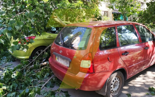 В Одессе крупная ветка привалила сразу три автомобиля Фото № 3 В Одессе крупная ветка привалила сразу три автомобиля Фото № 3