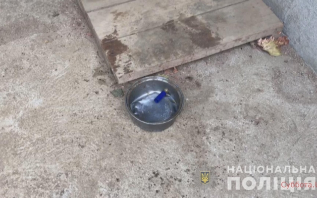 В Беляевском районе 12-летний парень застрелил своего товарища (ФОТО, ВИДЕО) Фото № 1 В Беляевском районе 12-летний парень застрелил своего товарища (ФОТО, ВИДЕО) Фото № 1
