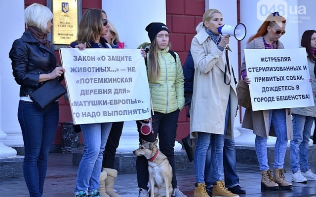 В Одессе зоозащитники устроили митинг под мэрией Фото № 3 В Одессе зоозащитники устроили митинг под мэрией Фото № 3