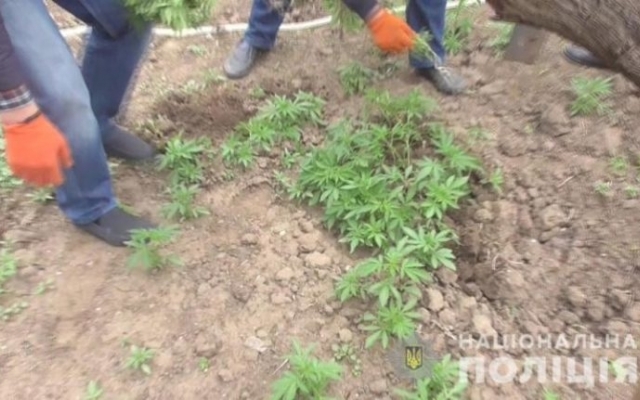 Противодействие наркопреступности: в Измаиле прошла профилактическая отработка города Фото № 2 Противодействие наркопреступности: в Измаиле прошла профилактическая отработка города Фото № 2