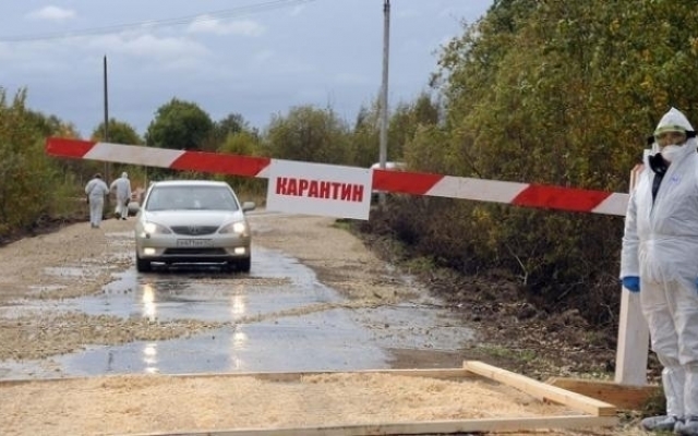 В Одесской области объявили карантин из-за смертельного заболевания Фото № 0 В Одесской области объявили карантин из-за смертельного заболевания Фото № 0