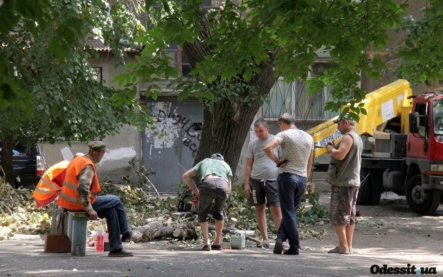 Нестандартный двор обнаружен в Одессе Фото № 3 Нестандартный двор обнаружен в Одессе Фото № 3