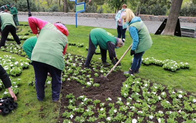 В Одессе высадят 600 000 цветов Фото № 3 В Одессе высадят 600 000 цветов Фото № 3
