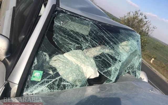 Гражданин Болгарии на автомобиле влетел под фуру Фото № 4 Гражданин Болгарии на автомобиле влетел под фуру Фото № 4