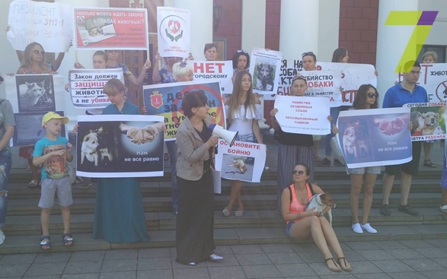 Митинг под одесской мэрией Фото № 1 Митинг под одесской мэрией Фото № 1