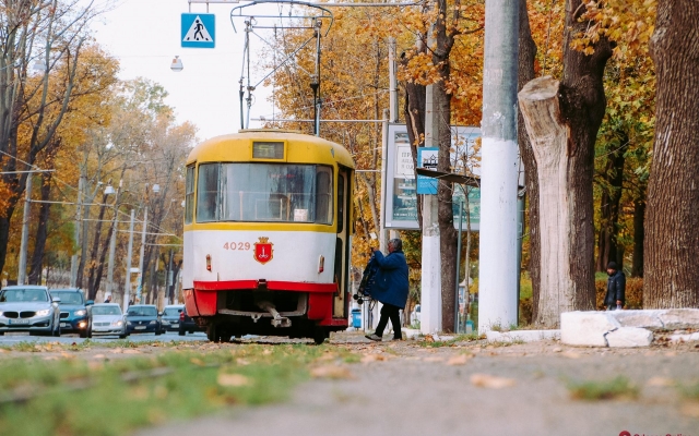Фото осеннего Французского бульвара Фото № 15 Фото осеннего Французского бульвара Фото № 15