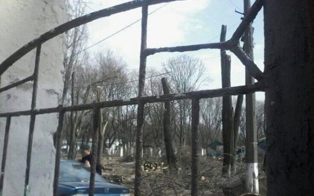 Пока все на карантине, застройщики вырубают зеленые насаждения Фото № 0 Пока все на карантине, застройщики вырубают зеленые насаждения Фото № 0
