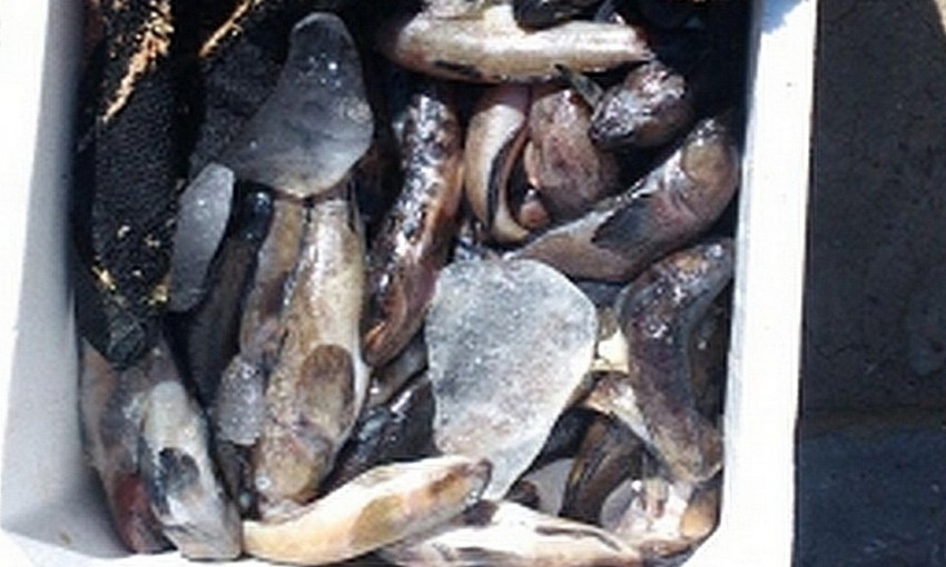 На стихийных рынках одесситы незаконно торгуют рыбой