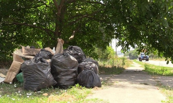 Малодолинское село под Одессой утопает в мусоре