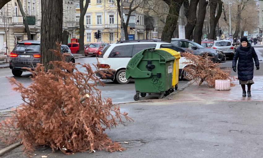 В Одессе прошлогоднюю елку выбросили за неделю до Нового года