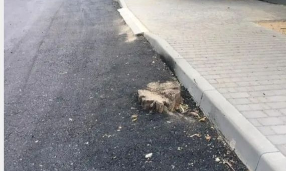 Ремонт дороги по Аккермански: из-под нового покрытия торчат пни