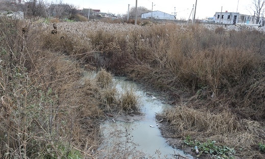 В одном из сёл Одесской области река вместо канализации (ФОТО, ВИДЕО)
