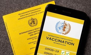 У Украины и ЕС появятся совместимые цифровые сертификаты об иммунитете на коронавирус 