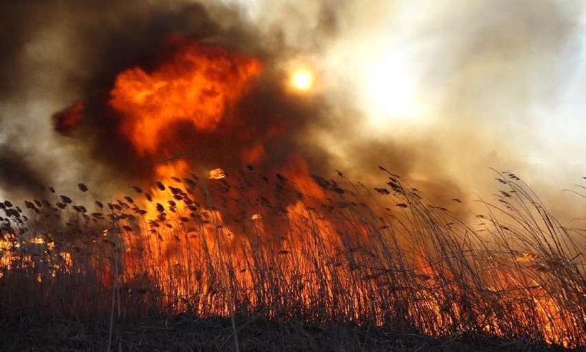 В области Хаджибейского лимана произошел масштабный пожар 
