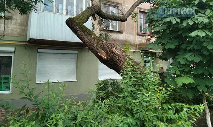 В Рени старое дерево рухнуло на жилой дом 